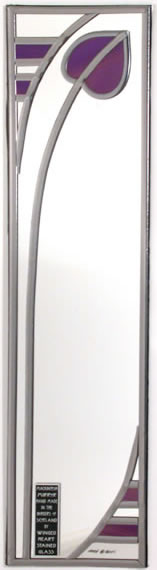 Single Bud - Purple Passion